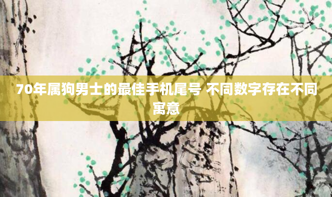 70年属狗男士的最佳手机尾号 不同数字存在不同寓意