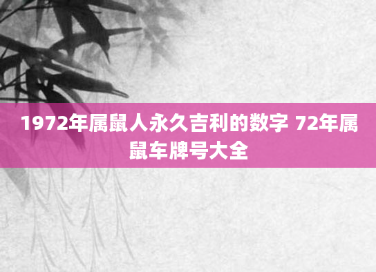 1972年属鼠人永久吉利的数字 72年属鼠车牌号大全