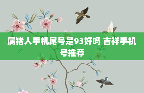 属猪人手机尾号是93好吗 吉祥手机号推荐