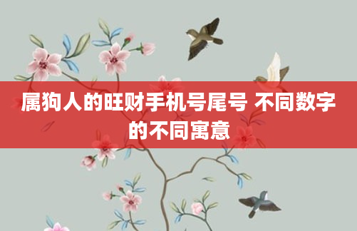 属狗人的旺财手机号尾号 不同数字的不同寓意
