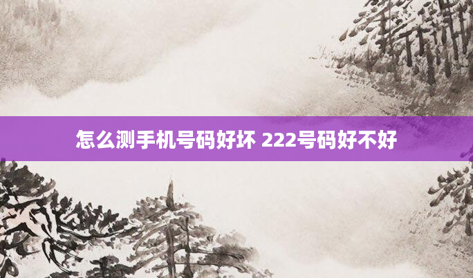 怎么测手机号码好坏 222号码好不好