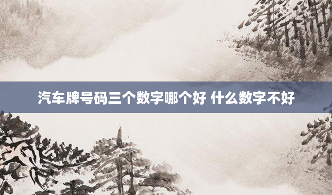 汽车牌号码三个数字哪个好 什么数字不好