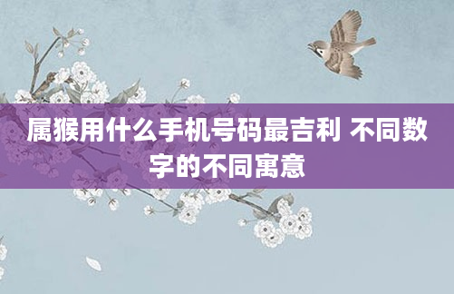 属猴用什么手机号码最吉利 不同数字的不同寓意