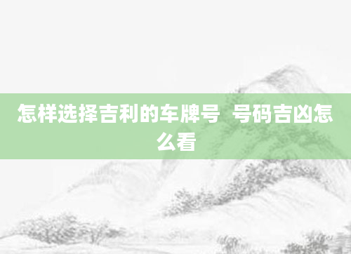 怎样选择吉利的车牌号  号码吉凶怎么看