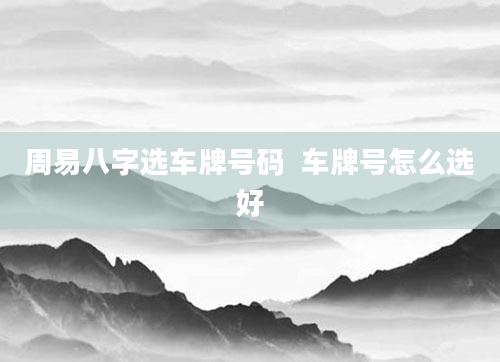 周易八字选车牌号码  车牌号怎么选好