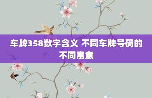 车牌358数字含义 不同车牌号码的不同寓意