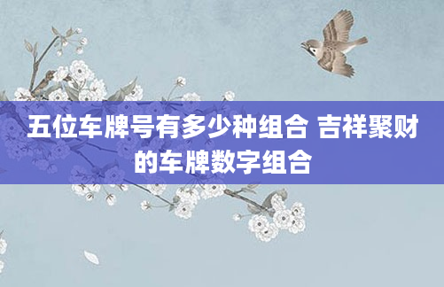 五位车牌号有多少种组合 吉祥聚财的车牌数字组合