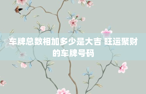 车牌总数相加多少是大吉 旺运聚财的车牌号码