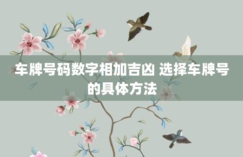 车牌号码数字相加吉凶 选择车牌号的具体方法