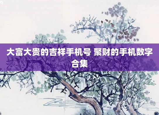 大富大贵的吉祥手机号 聚财的手机数字合集