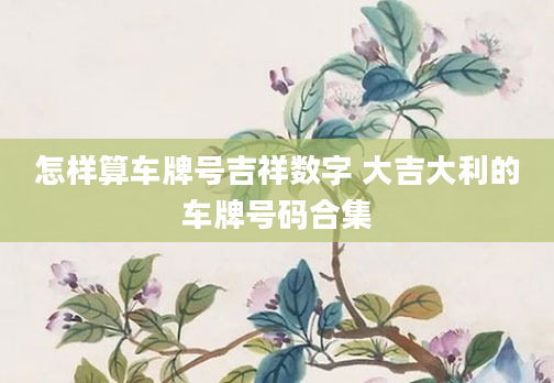 怎样算车牌号吉祥数字 大吉大利的车牌号码合集
