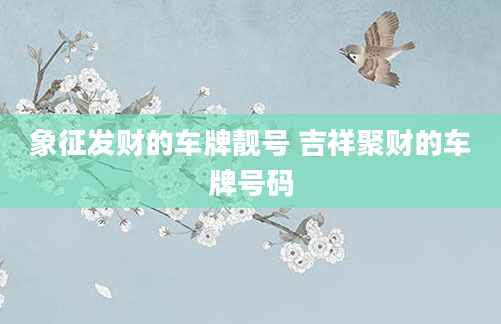 象征发财的车牌靓号 吉祥聚财的车牌号码