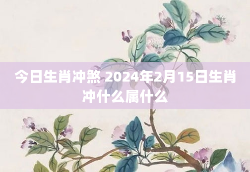 今日生肖冲煞 2024年2月15日生肖冲什么属什么