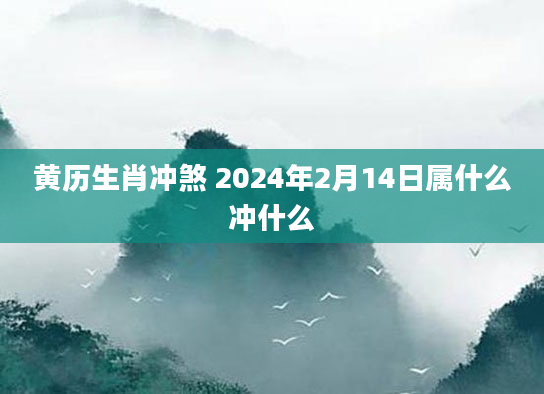 黄历生肖冲煞 2024年2月14日属什么冲什么