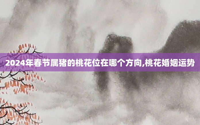 2024年春节属猪的桃花位在哪个方向,桃花婚姻运势