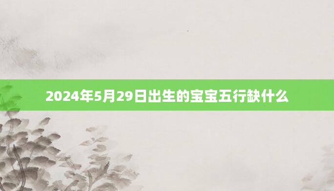 2024年5月29日出生的宝宝五行缺什么