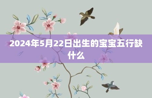 2024年5月22日出生的宝宝五行缺什么