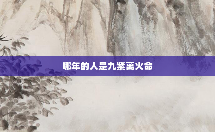 哪年的人是九紫离火命