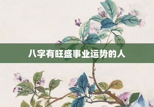 八字有旺盛事业运势的人