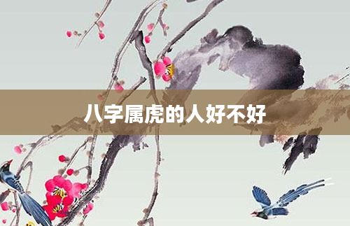 八字属虎的人好不好