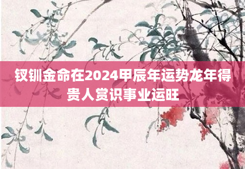 钗钏金命在2024甲辰年运势龙年得贵人赏识事业运旺