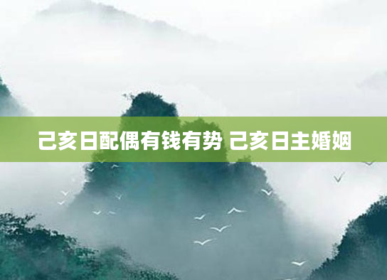 己亥日配偶有钱有势 己亥日主婚姻