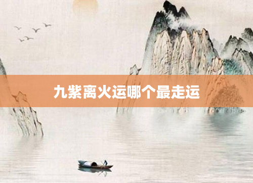 九紫离火运哪个最走运
