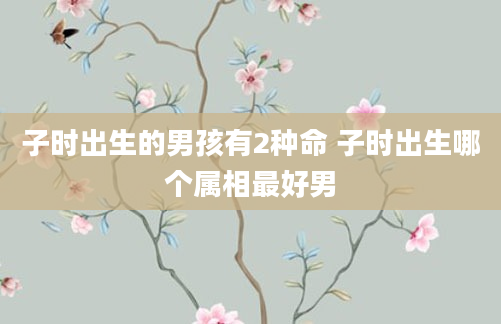 子时出生的男孩有2种命 子时出生哪个属相最好男