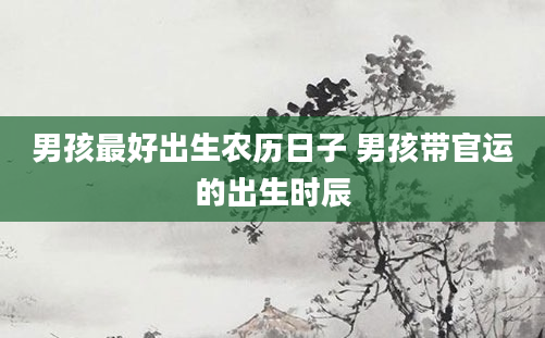 男孩最好出生农历日子 男孩带官运的出生时辰