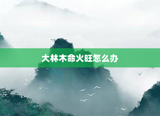 大林木命火旺怎么办