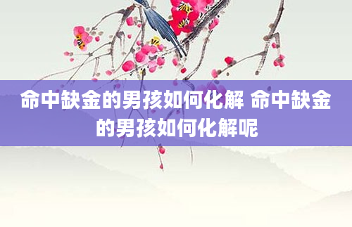命中缺金的男孩如何化解 命中缺金的男孩如何化解呢