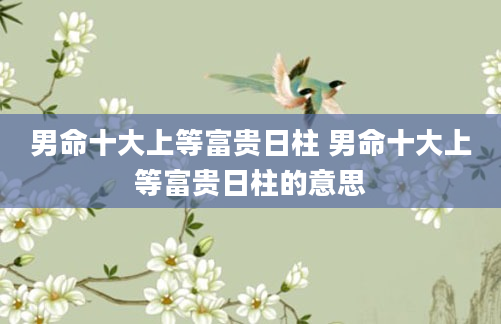 男命十大上等富贵日柱 男命十大上等富贵日柱的意思