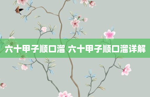 六十甲子顺口溜 六十甲子顺口溜详解