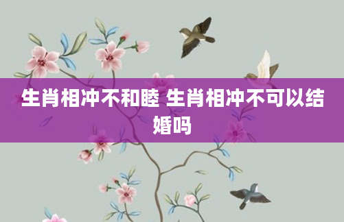 生肖相冲不和睦 生肖相冲不可以结婚吗