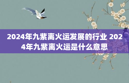 2024年九紫离火运发展的行业 2024年九紫离火运是什么意思