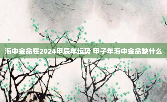 海中金命在2024甲辰年运势 甲子年海中金命缺什么