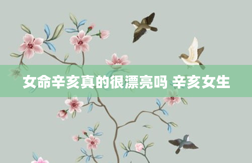 女命辛亥真的很漂亮吗 辛亥女生