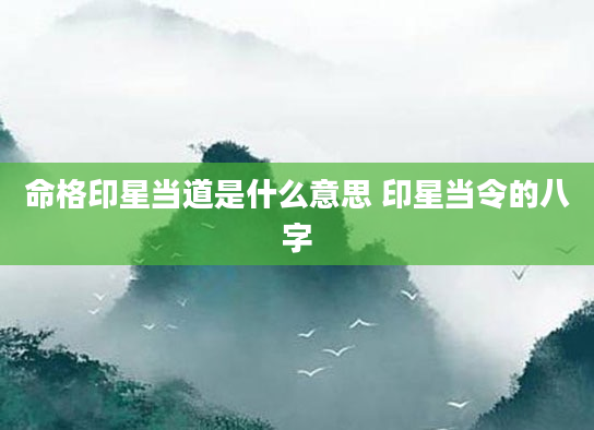 命格印星当道是什么意思 印星当令的八字