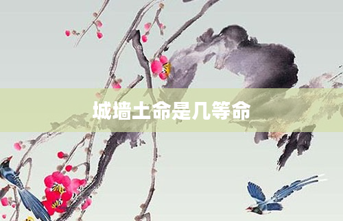 城墙土命是几等命