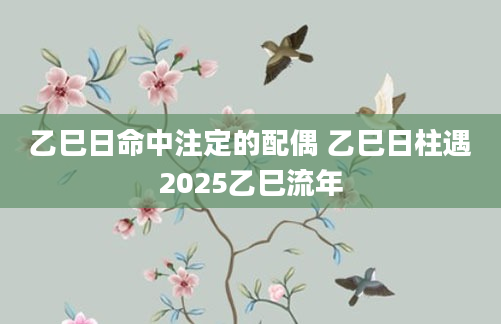 乙巳日命中注定的配偶 乙巳日柱遇2025乙巳流年