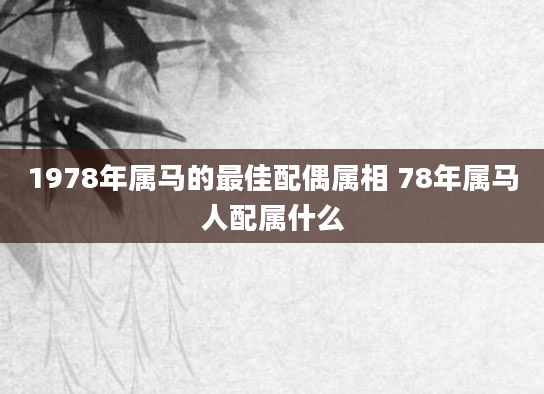 1978年属马的最佳配偶属相 78年属马人配属什么