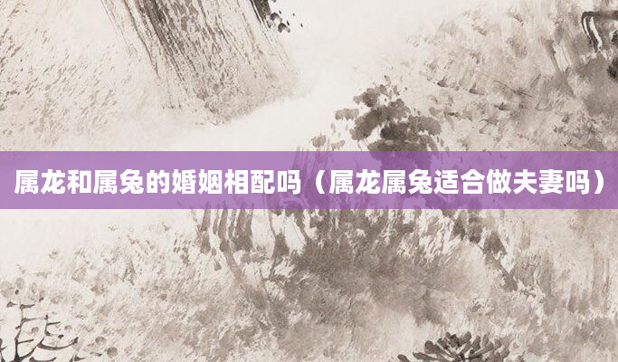 属龙和属兔的婚姻相配吗（属龙属兔适合做夫妻吗）