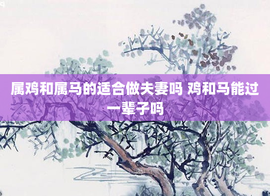 属鸡和属马的适合做夫妻吗 鸡和马能过一辈子吗