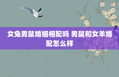 女兔男鼠婚姻相配吗 男鼠和女羊婚配怎么样