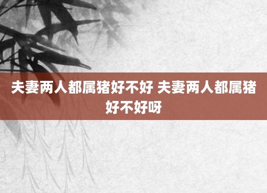 夫妻两人都属猪好不好 夫妻两人都属猪好不好呀