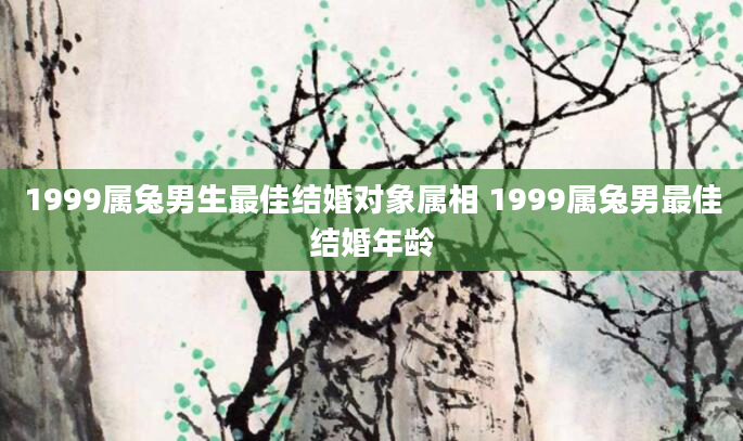 1999属兔男生最佳结婚对象属相 1999属兔男最佳结婚年龄