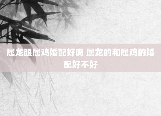 属龙跟属鸡婚配好吗 属龙的和属鸡的婚配好不好