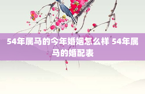 54年属马的今年婚姻怎么样 54年属马的婚配表