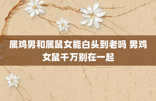 属鸡男和属鼠女能白头到老吗 男鸡女鼠千万别在一起