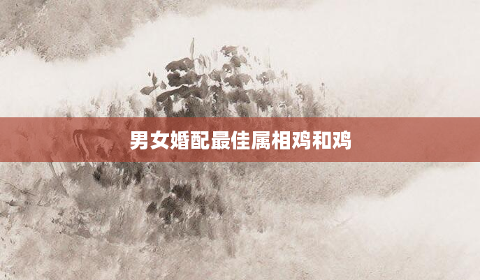 男女婚配最佳属相鸡和鸡